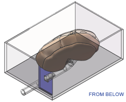 FIGURE5-KIDNEY-FROM-BELOW.png