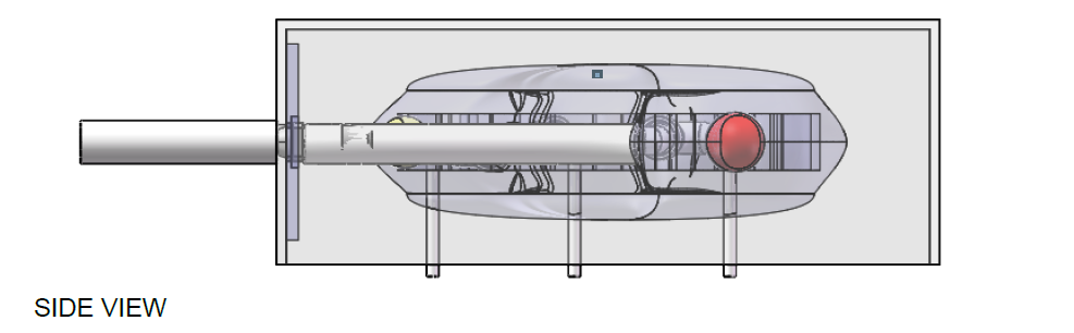 FIGURE7-KIDNEY-SIDE-VIEW.png