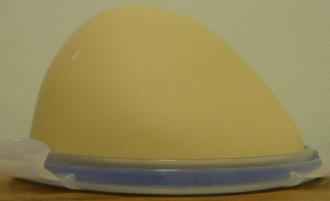 Ultrasound Breast Phantom image png