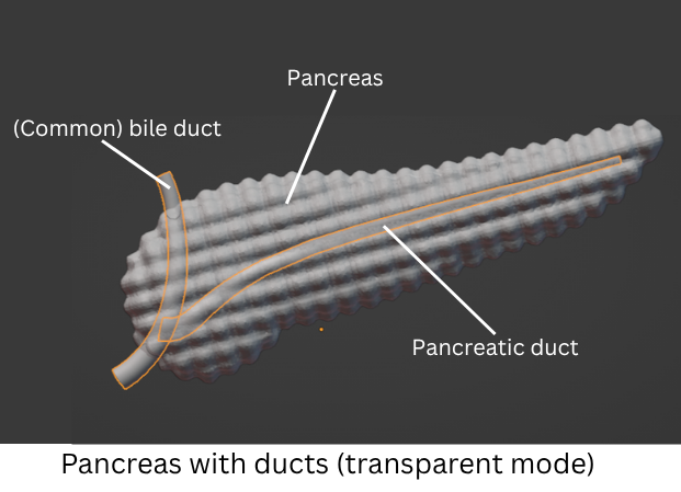 all transparent parts